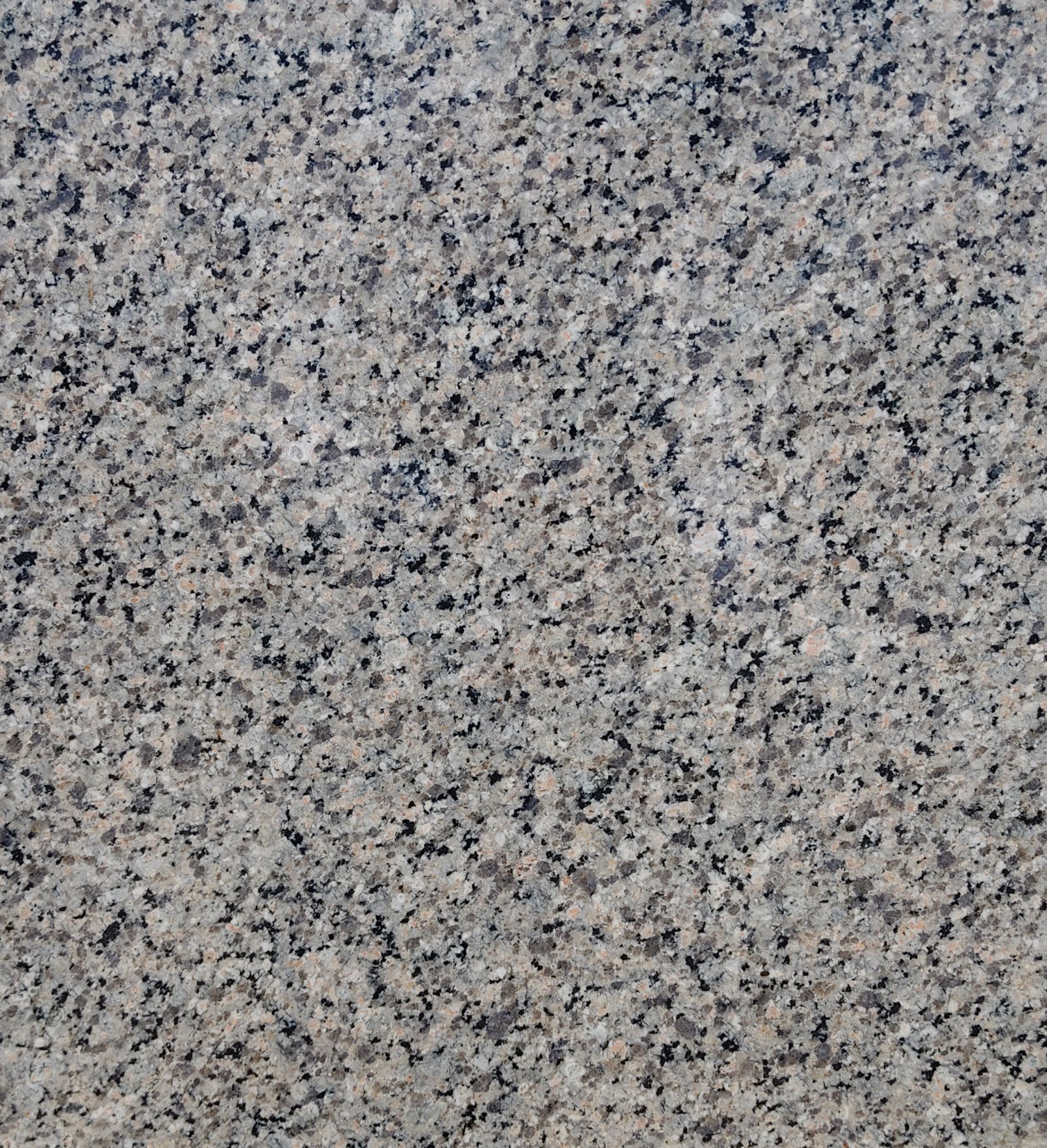 Asian Gray
